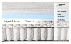GENESIS