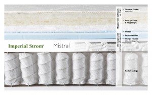MISTRAL