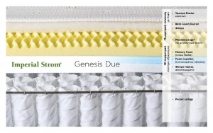 GENESIS DUE
