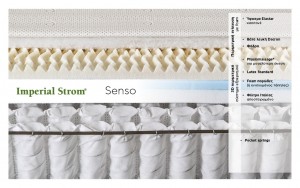 SENSO