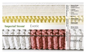 EXOTIC