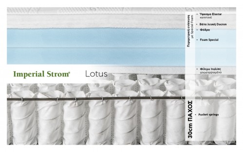 LOTUS